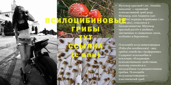 гашиш Корсаков
