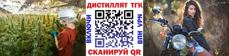 Купить  Юрьевец  ТГК Wax 