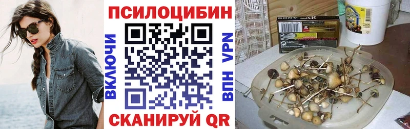 Галлюциногенные грибы Psilocybe  Купить  Юрьевец 